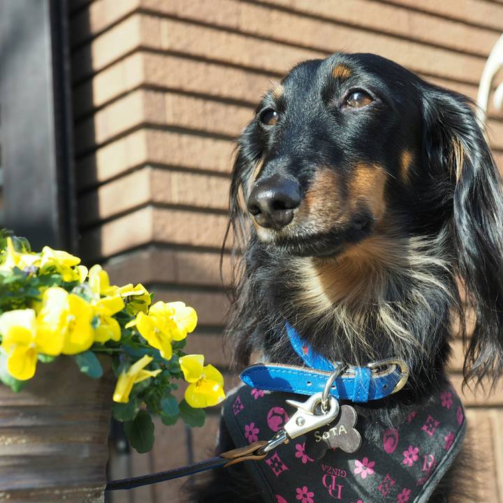 93901087 7fc2 46d6 a79f 43684b1e7898 1521644088565