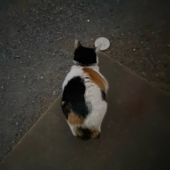 939011b6 5c41 413f bfb4 1dfe977e7cb7 1642457493888