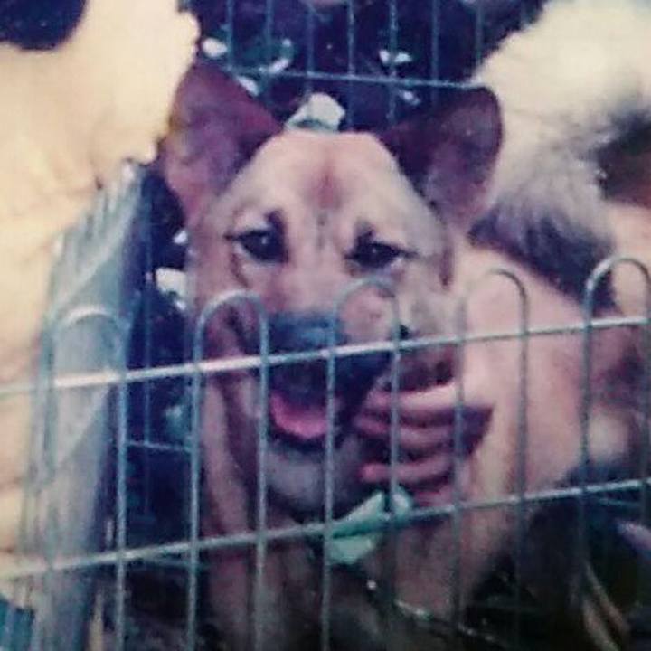 9390276a 01d1 4bd2 b7de 57dcf890a657 1535350505913