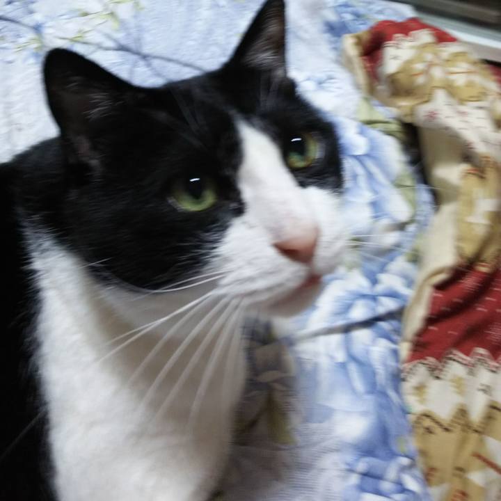 93903323 bac0 49d3 9e97 29d2fafb2734 1552340912243