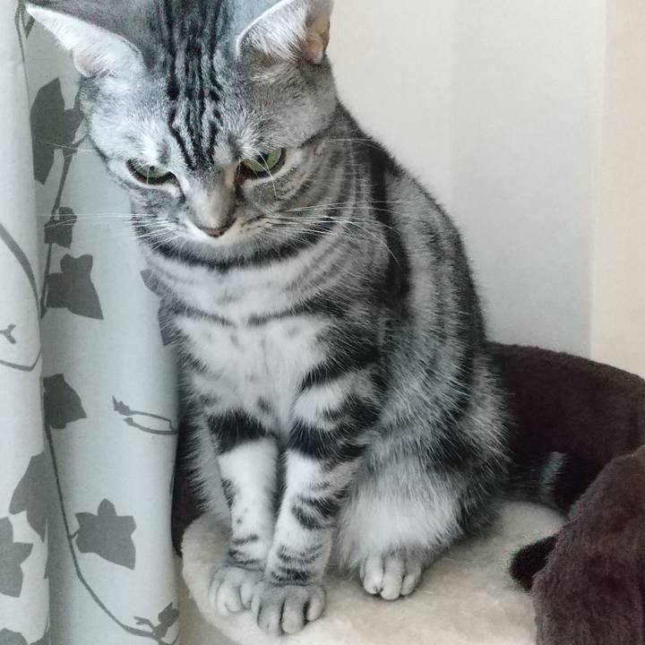 93907b3c 334d 40e3 86e7 3a38f7979d5f 1635248659538