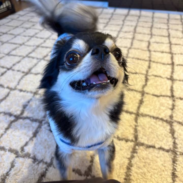 93909edf bf44 48cc 9696 e964824f7ece 1739637165290