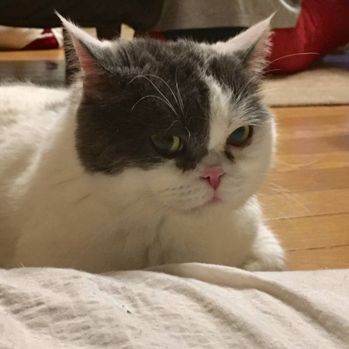 9390adf0 9a5e 4a40 a01b 688a11a10bd3 1529722501567