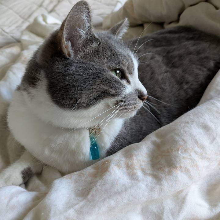 9390efcb e990 4527 b5b3 c2ba7d9c7d74 1744594397834