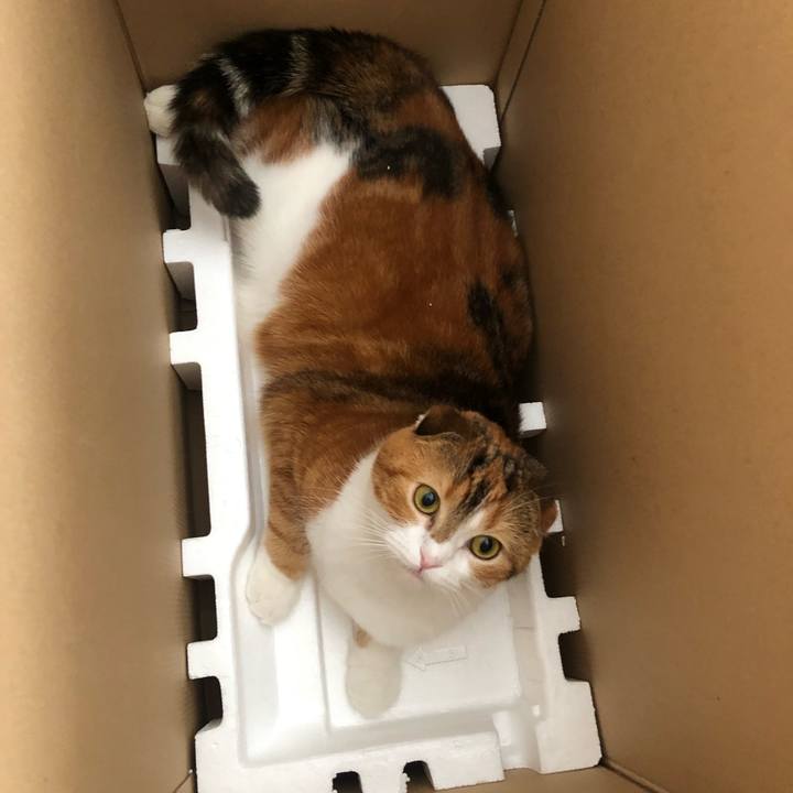 939114a7 6488 4a82 874e e98bc1ea096e 1544329521562