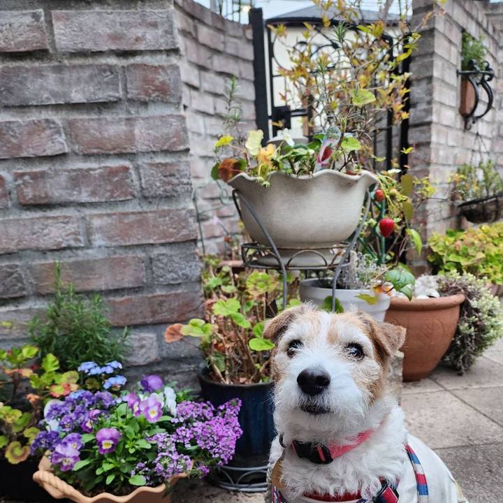 939135e1 c743 42b0 bf73 8b538fa85bbc 1773878666748