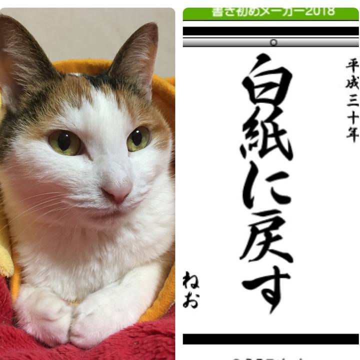 93913ca6 729a 4af6 877d ae36f2e52d1f 1514879971349