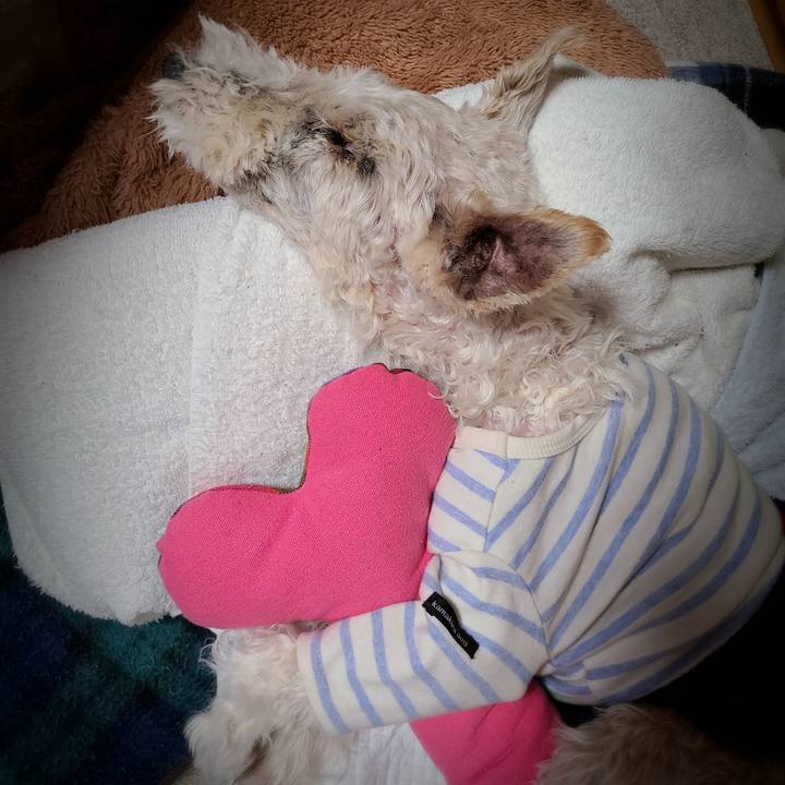 93917ec9 ce33 42d5 a70d 0e873d8d6652 1707915684064