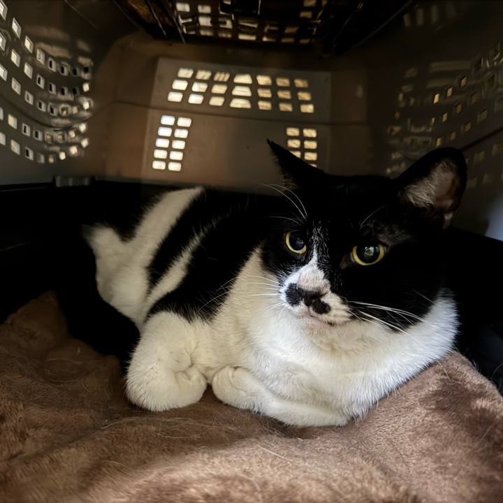 93918901 04ae 4e23 a0a0 d132c5dbd707 1758498409771