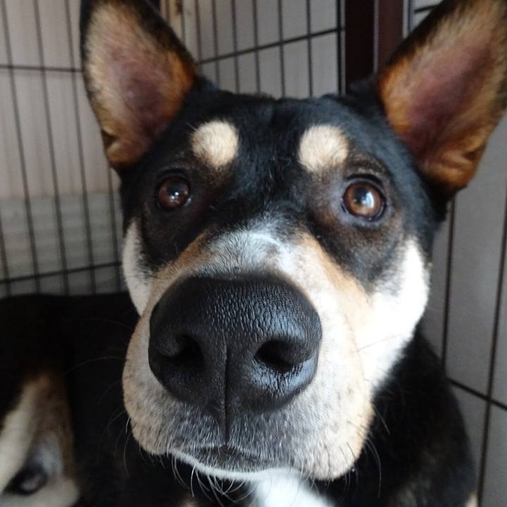 9391b742 2e0e 43d2 94f0 a553f38dadd3 1524418577470