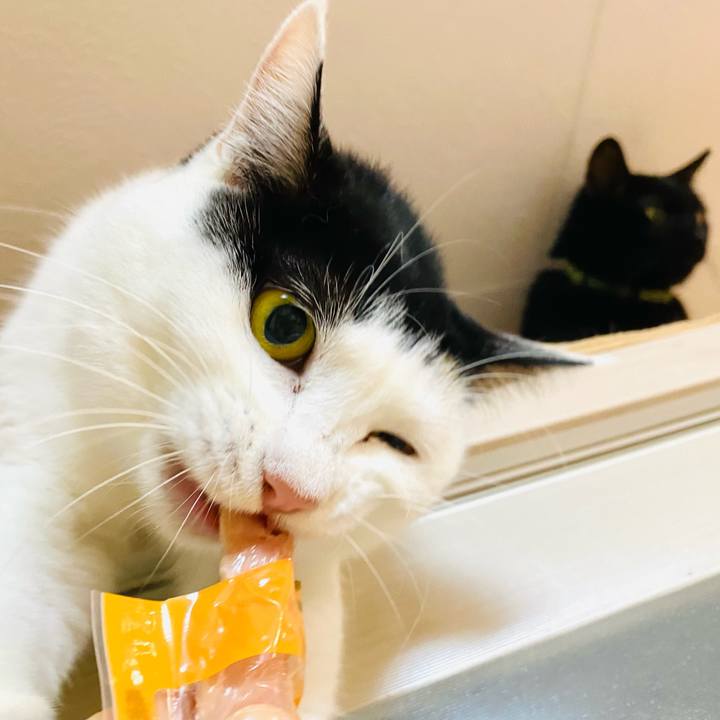 9391f596 d3d3 4ab7 bc05 68567f66c442 1668513020853