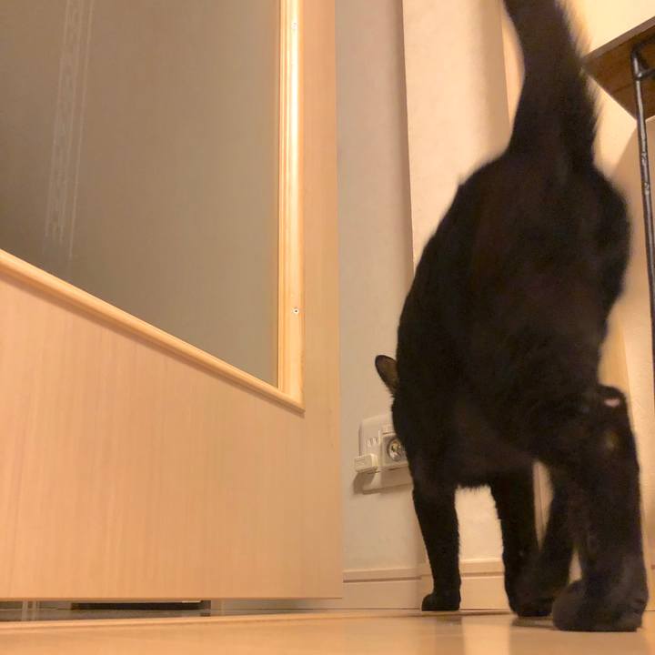 9392100a 6480 432d 9433 c14164706225 1523931273544