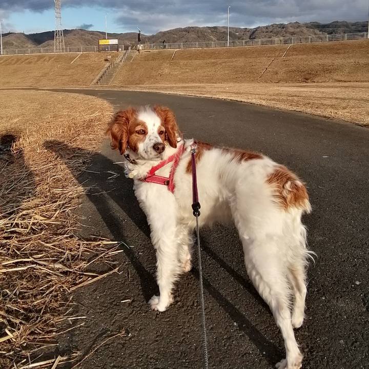 93928e14 4219 4bcc b910 fb39a80a745e 1611060033366