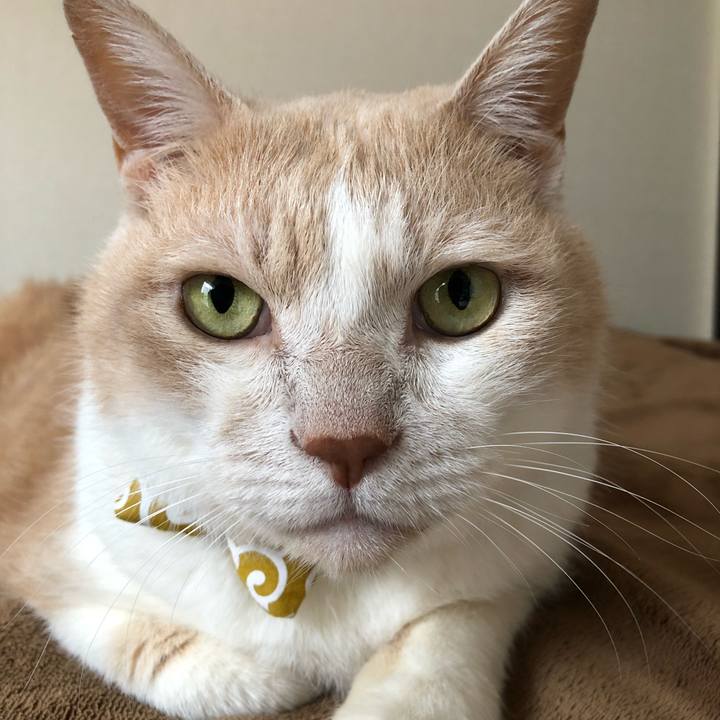 9392a248 01e3 459d b0d8 8c75b313aec9 1571355799323