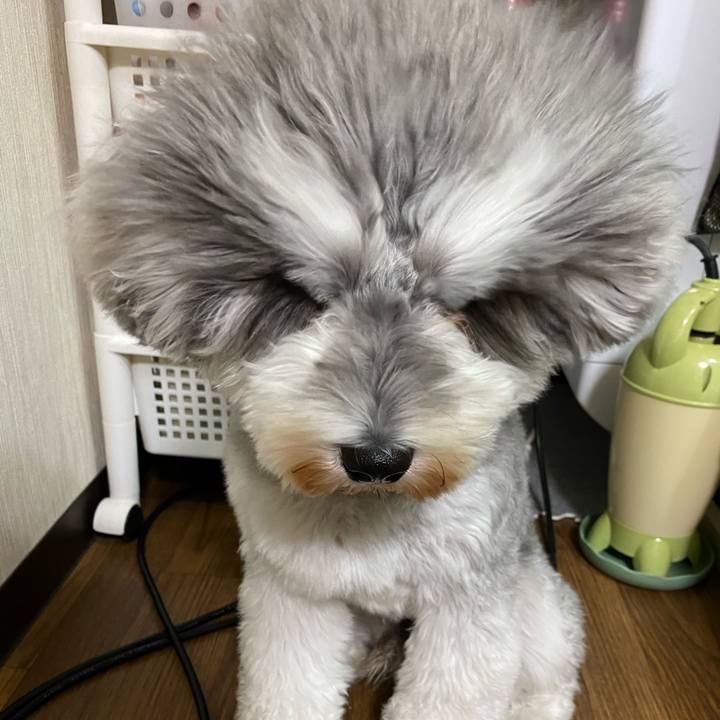 9392c579 0473 49ff 84aa 1af14dea80e0 1605364011086