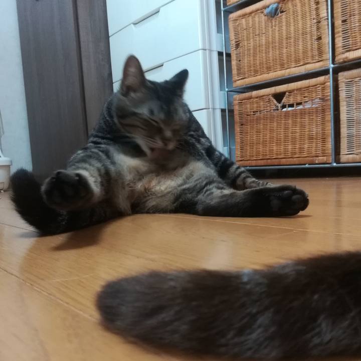 9392dc5a 0f26 4301 9e0f b48f6318eb1a 1523879326403