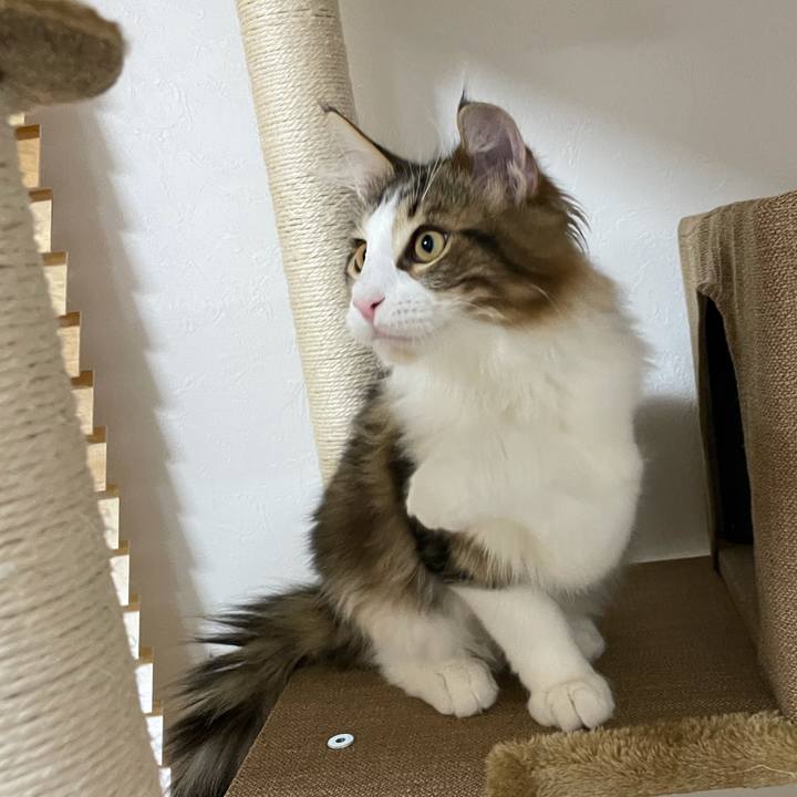 9392e3a7 a4e8 44c1 834c d2f9302adb1d 1636060689053