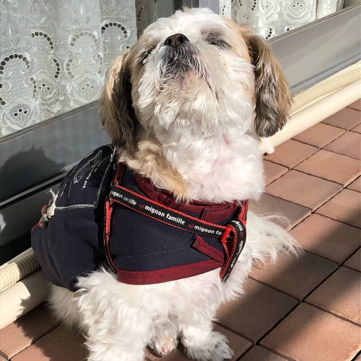 9392e584 e853 4eec ade1 1ee7dfd57316 1574027125700