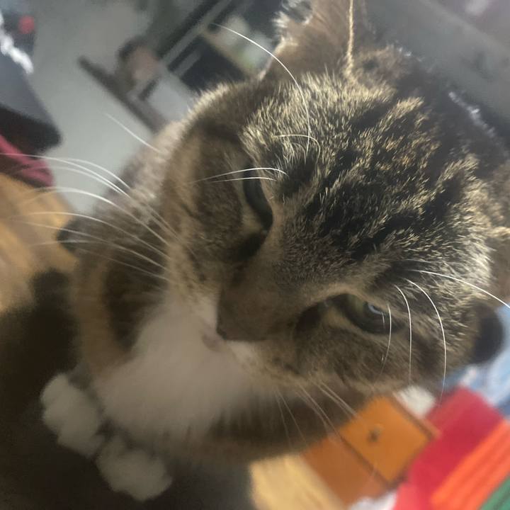 9392e643 f43d 446f b049 b1fd8082ce0e 1766092345220