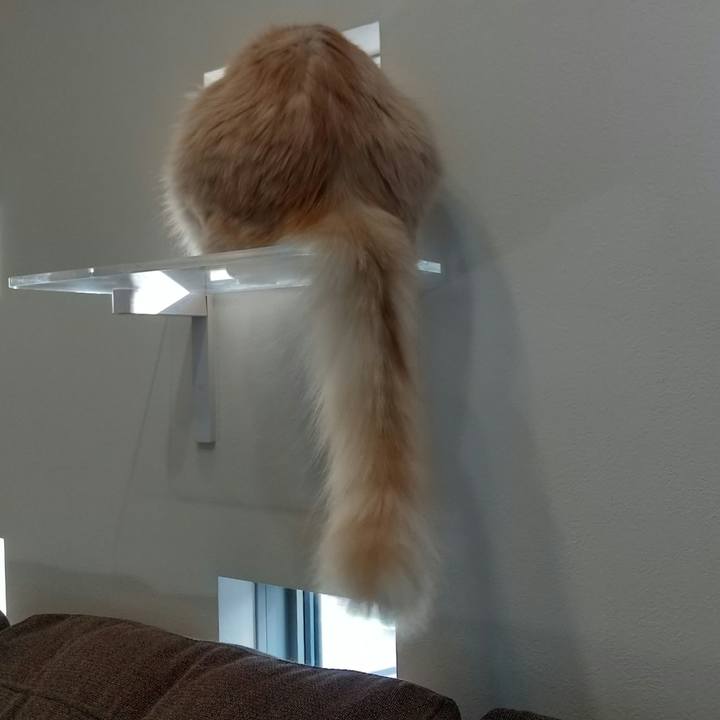 93933653 1037 418e 8c0c dd8b0bfc717a 1644370746650