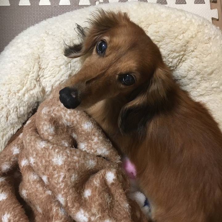 93934424 41a3 4597 80b2 909538202eb2 1548770740288