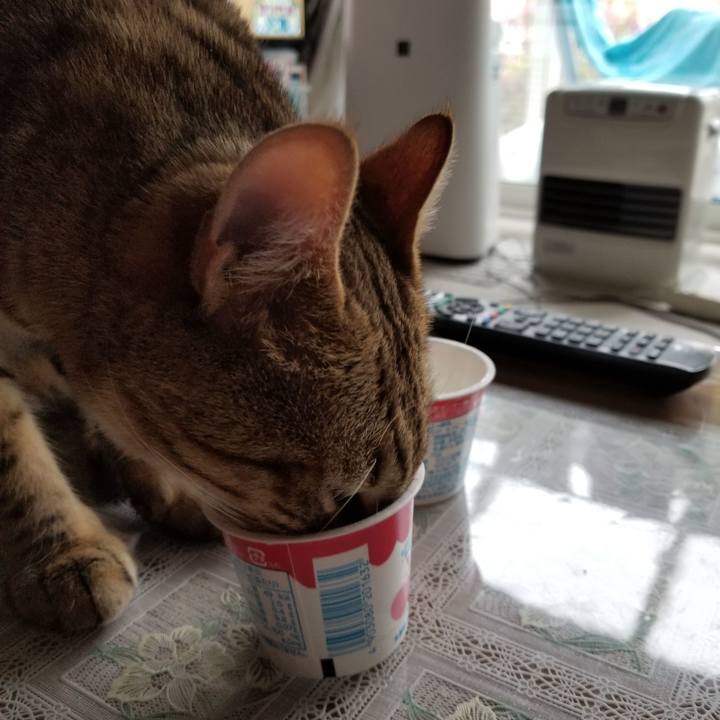 93934a03 88f7 4bd2 9f1c 02ea0b44d5e0 1589119498440