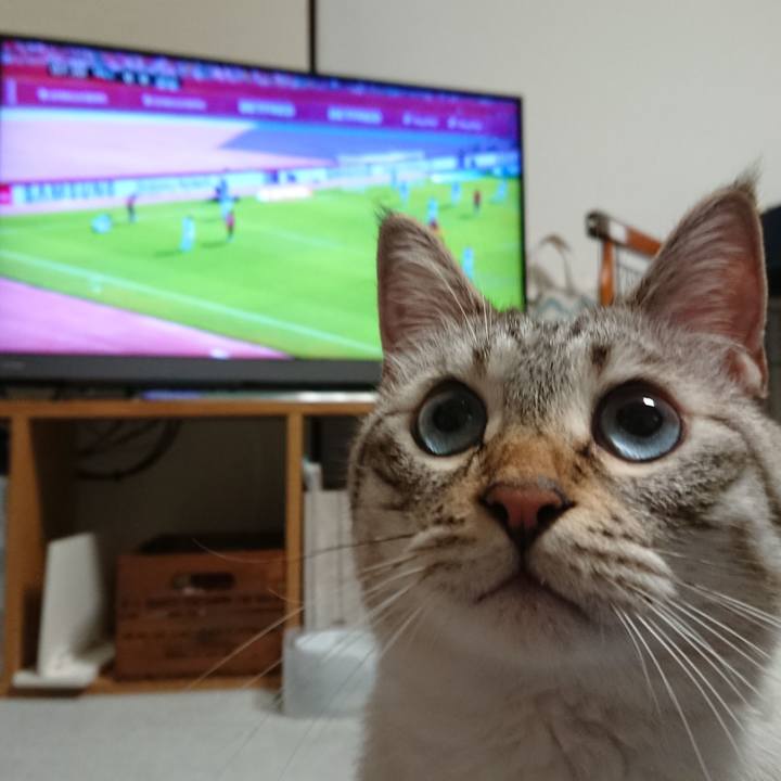 93936b29 562f 4890 9796 4ecffc2fbf3e 1566745830216