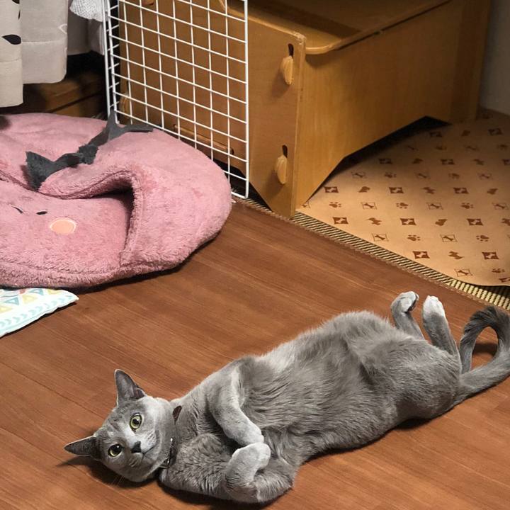 93937fa8 0c66 493f 88c5 0aa20d4320f9 1575982820150