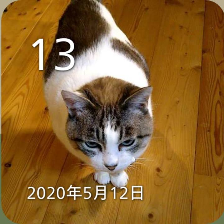 9393ab0b 3b21 47de a8ab cc7e24f24938 1778683952642