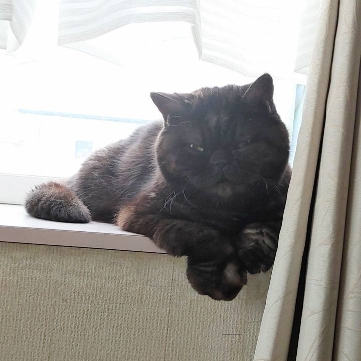 9393b35a 50fa 4f93 946e dcac796bd92c 1648252922304