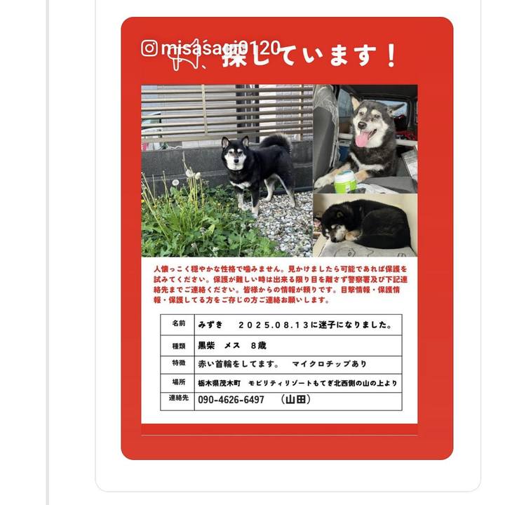 9393bc4c 5f77 42d1 bab3 7c90bdf33f6a 1758688241533