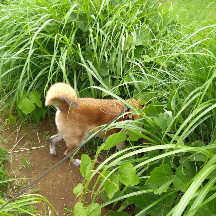 93941604 3314 4315 b657 98f3339398fe 1559267752306