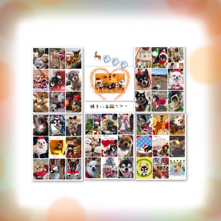 93945b56 6343 4694 9565 8a8b000629b8 1545899655879