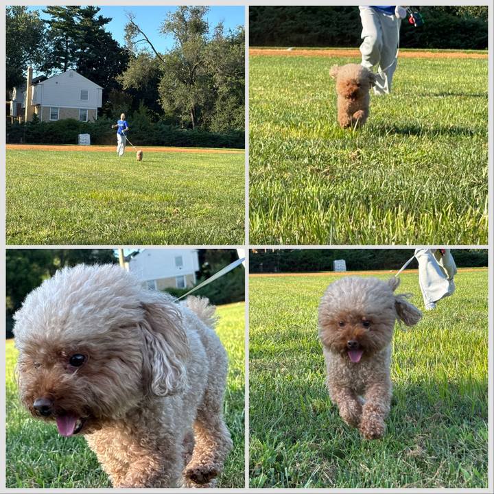 93946b2b 3869 40dc 9421 30080727e495 1755993248415