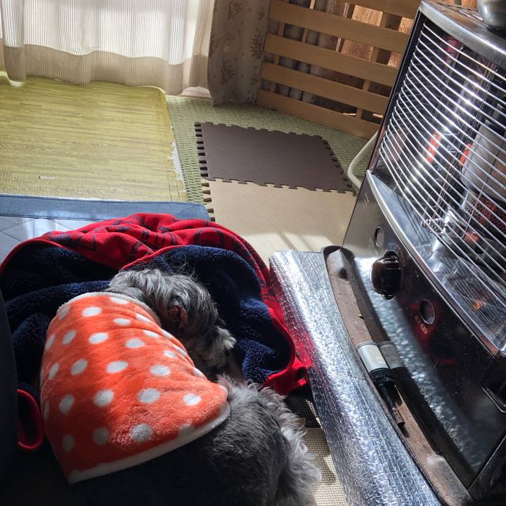 9394740d d600 4e92 9f56 68cf6fbd98a5 1705205535692