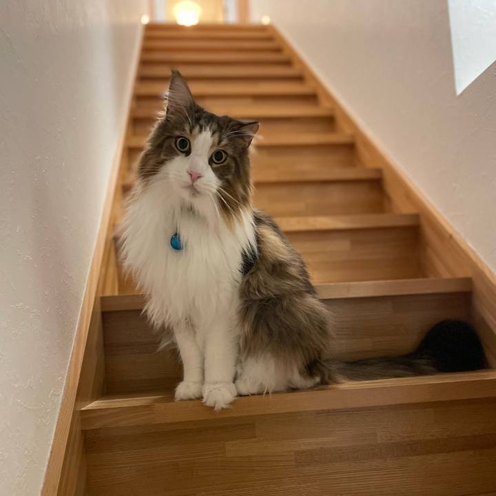 93947c5f 4a94 46d6 92b9 d4ac22880356 1707421385817