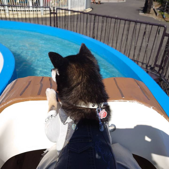 93949626 7245 4ca4 a5c0 df89c2606c3d 1697955535123