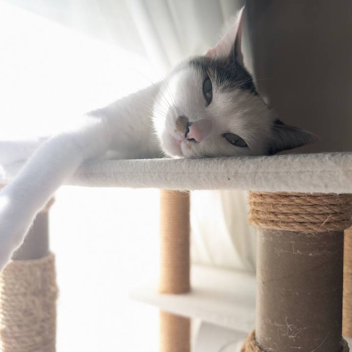 9394b975 83d7 4a79 b78b 2e42c0fb488e 1739081254078