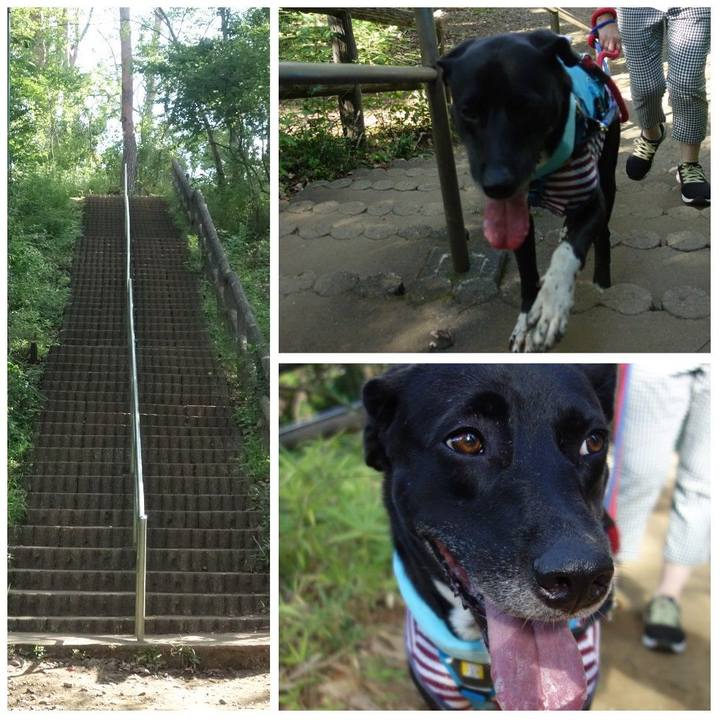 9394d48e c19a 4e96 990d cd0a58fc9266 1628210011982