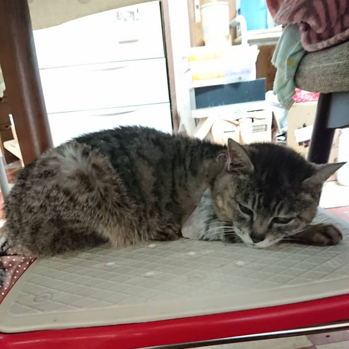 9394d88c 7bed 4bf1 a9c9 9cba341ffd3a 1590184185887