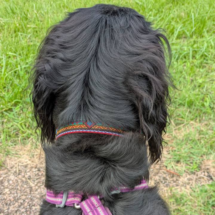 9394eecc 66ec 4006 92b6 6774c9367bab 1757205278273