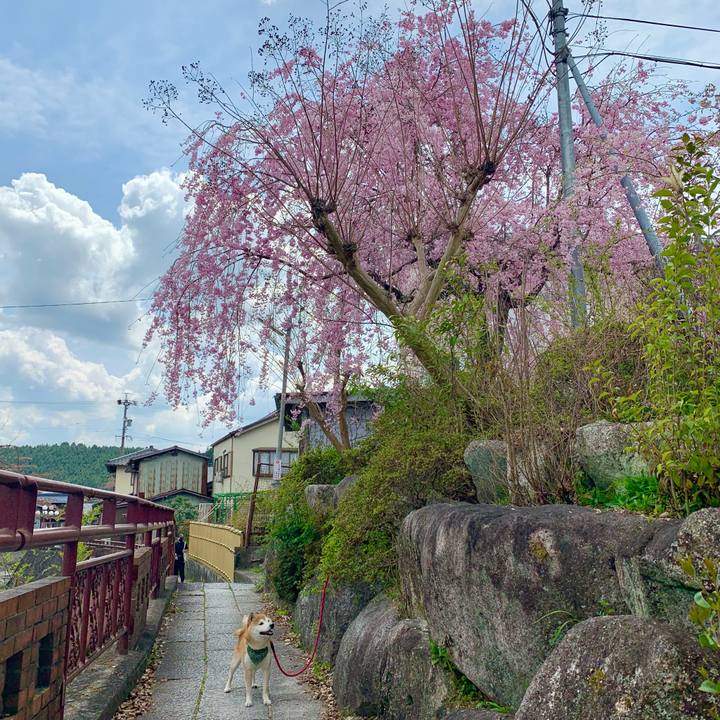 9394ef26 b2ed 496a bd8d dc506cbe6229 1650358024438