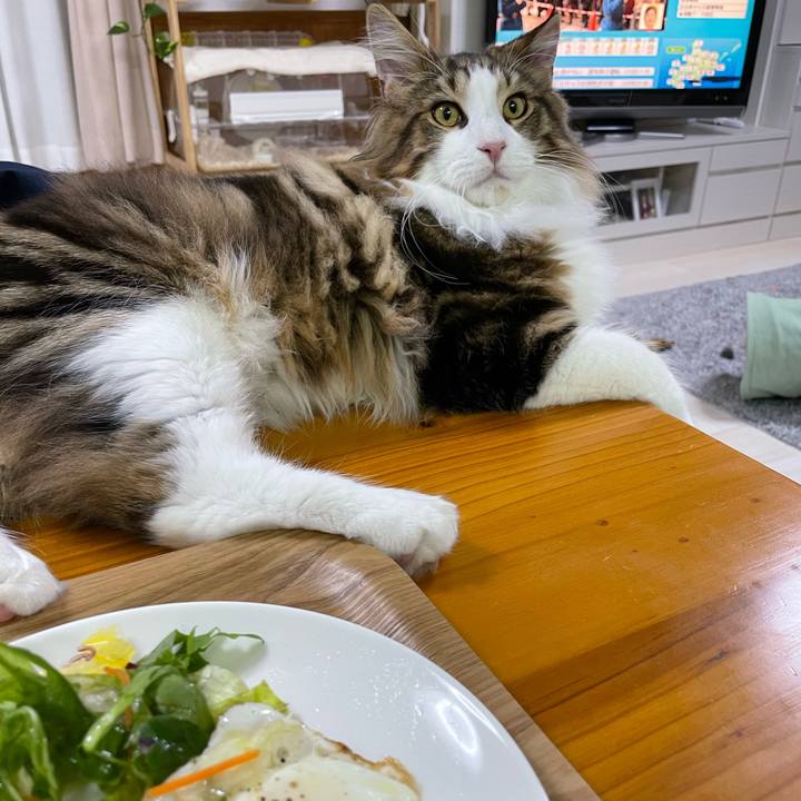 93954acd 6ebb 498d b6dd 06cbb97c5dd4 1641243431715