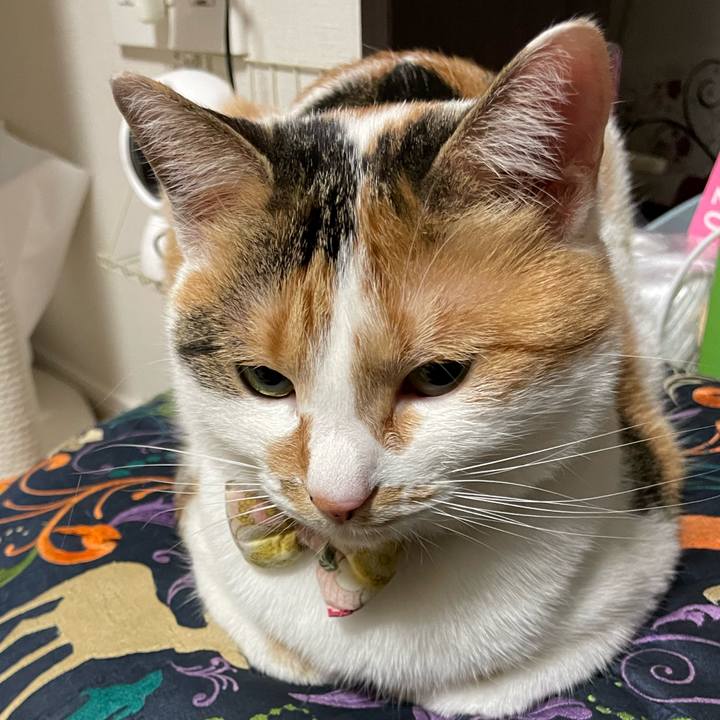 93957a7e 6ba9 459c 885b e91b399d8e4c 1639320761837