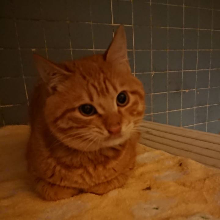 9395ae43 3dd5 4c1f 84ab 06105a8aa926 1640682369964