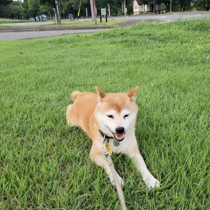 939600cd e1cc 4dcf b0fd d6310094c39a 1628154897019