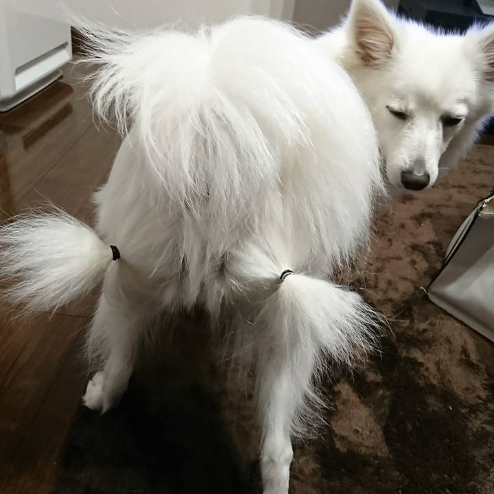 939616fa 2c23 492b 828d c2fe5b3615d5 1522246743610