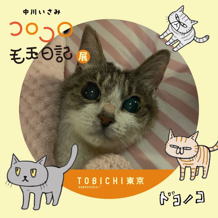 939638f7 92a5 436b a413 6b66573494fd 1740226137930