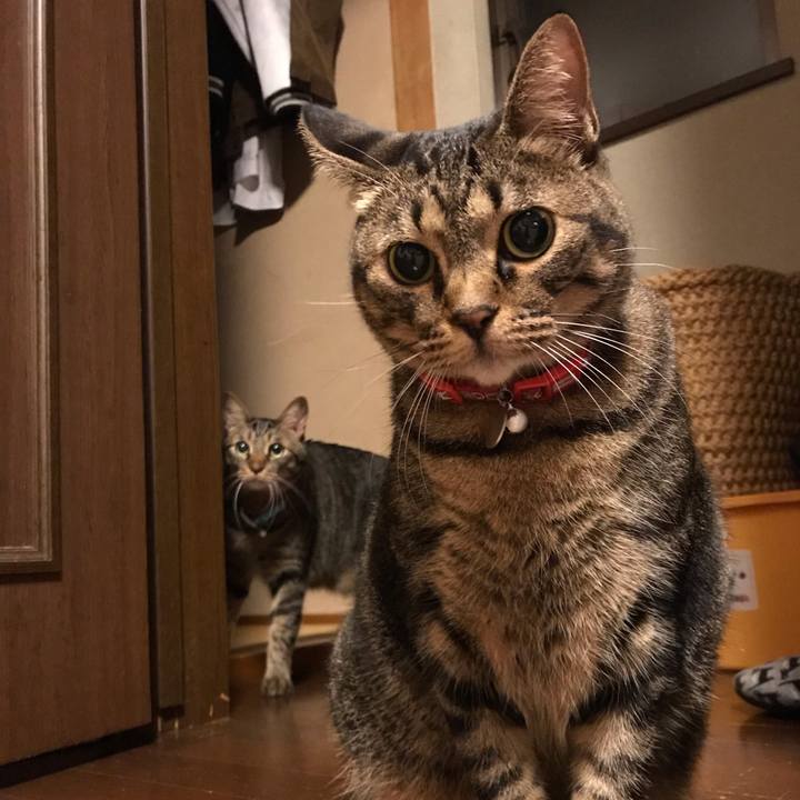 9396444e 5586 4b07 88a8 0c8bd88b4c31 1540299206230