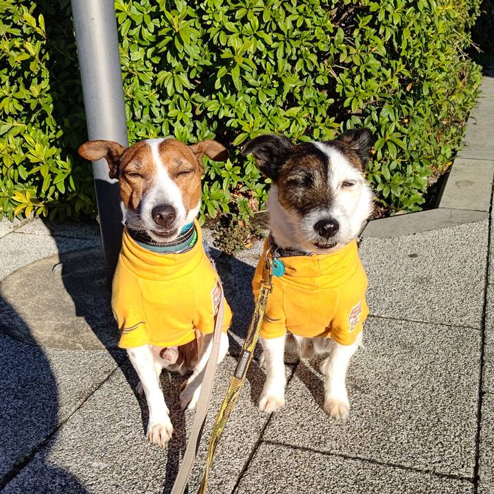 93964491 66be 4bd3 823e dbc63017a834 1711492471578